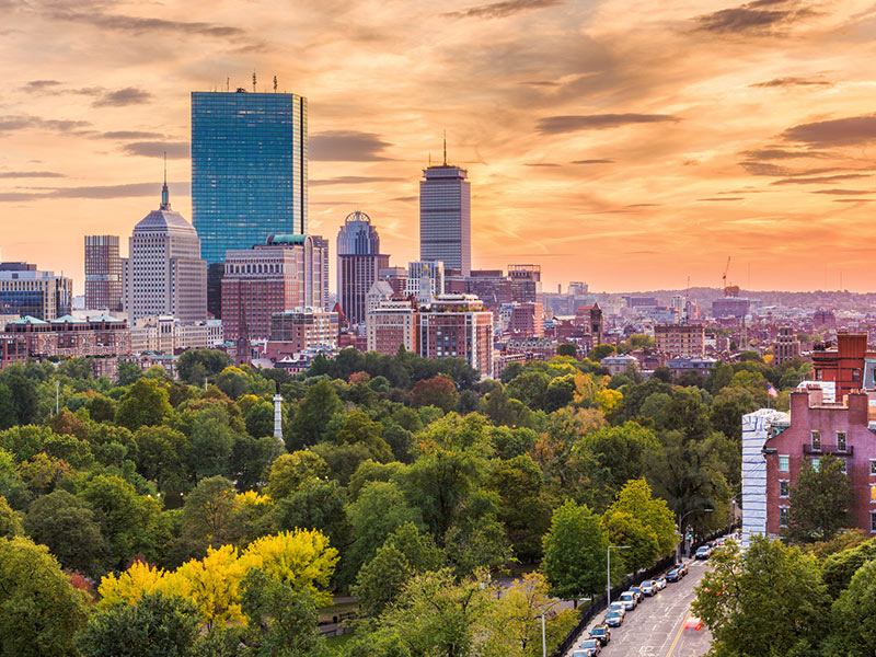Downtown Boston, MA showing trees in the foreground and tall buildings in the background.