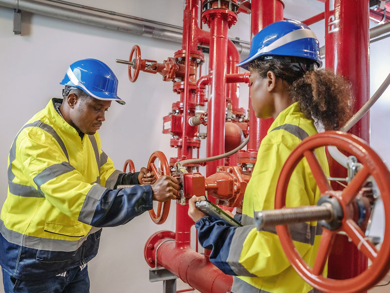 Two people in hardhats inspect a fire sprinkler system with red pipes
